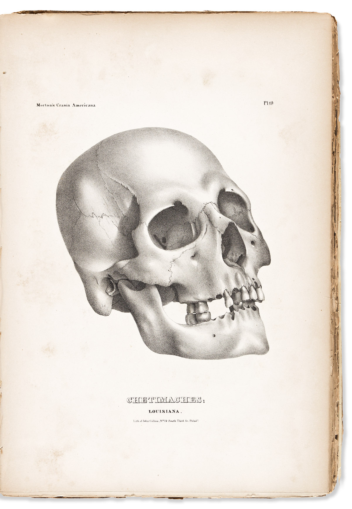 (AMERICAN INDIANS.) Samuel George Morton. Crania Americana; or, A Comparative View of the Skulls of Various Aboriginal Nations